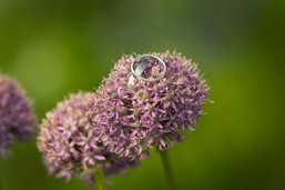 37_Hochzeit_Fotografie-Hammerer.jpg